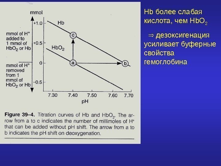   Hb более слабая кислота, чем Hb. O 2  дезоксигенация усиливает буферные