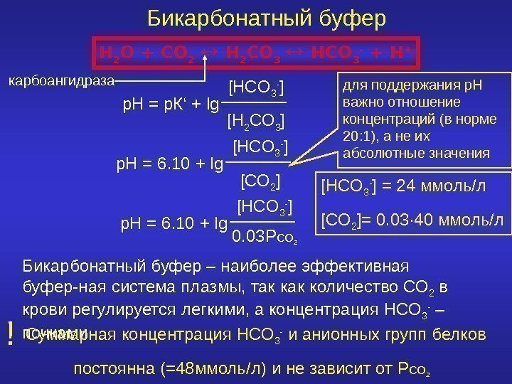   Бикарбонатный буфер H 2 O + CO 2 H 2 CO 3