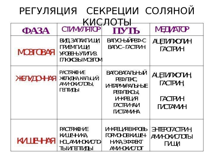   РЕГУЛЯЦИЯ  СЕКРЕЦИИ СОЛЯНОЙ КИСЛОТЫФАЗАСТИМУЛЯТОРПУТЬМЕДИАТОР МОЗГОВАЯ ВИД, ЗАПАХ ПИЩИ, ПРИЕМ ПИЩИ, УРОВЕНЬ