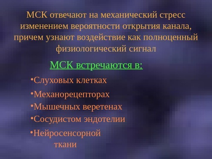   МСК отвечают на механический стресс изменением вероятности открытия канала,  причем узнают