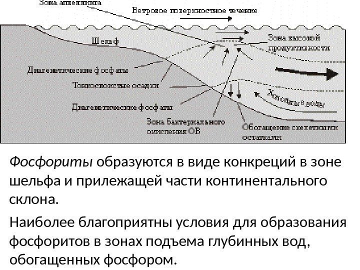 Фосфориты  образуются в виде конкреций в зоне шельфа и прилежащей части континентального склона.