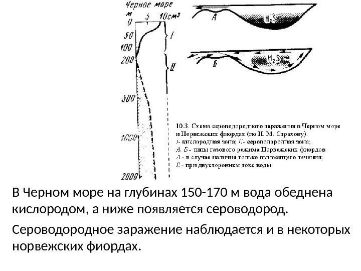 В Черном море на глубинах 150 -170 м вода обеднена кислородом, а ниже появляется