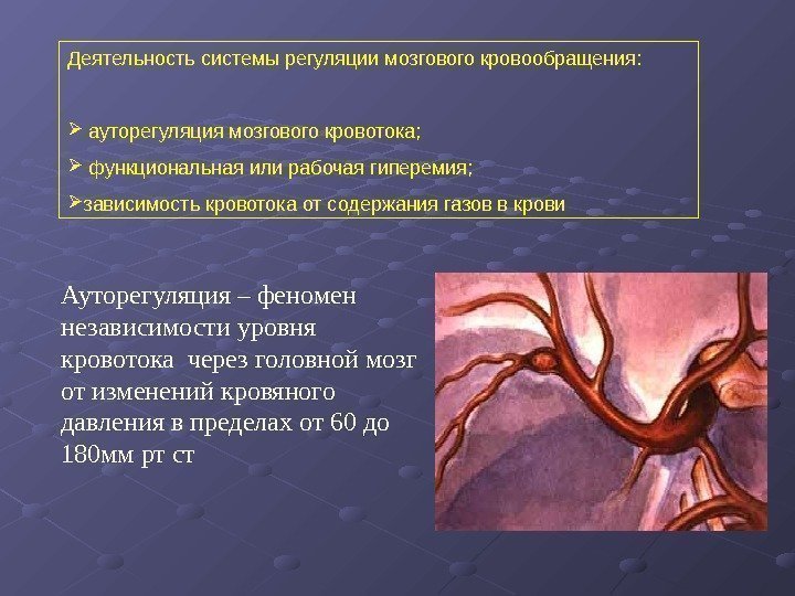   Деятельность системы регуляции мозгового кровообращения: ауторегуляция мозгового кровотока; функциональная или рабочая гиперемия;
