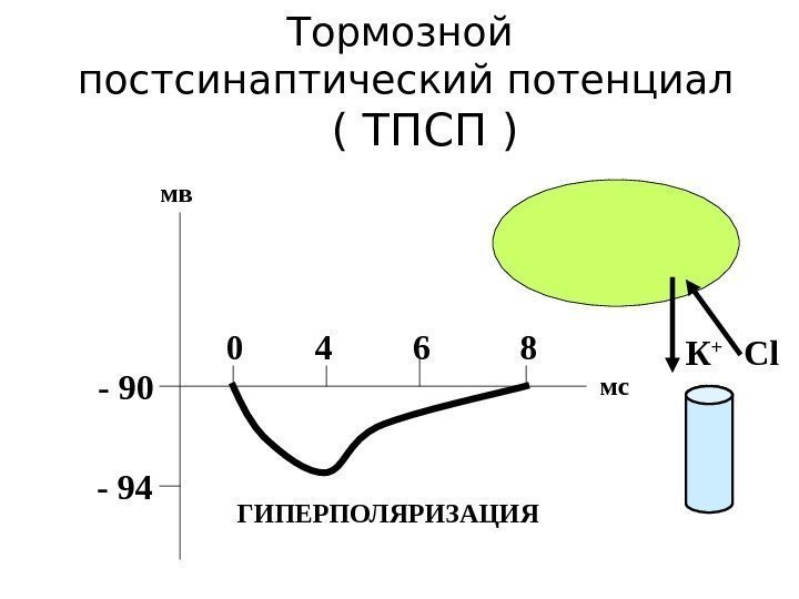   Тормозной  постсинаптический потенциал ( ТПСП ) - 90  - 94
