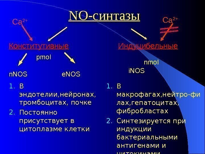  NONO -синтазы Конститутивные   Индуцибельные n. NOS   e. NOS