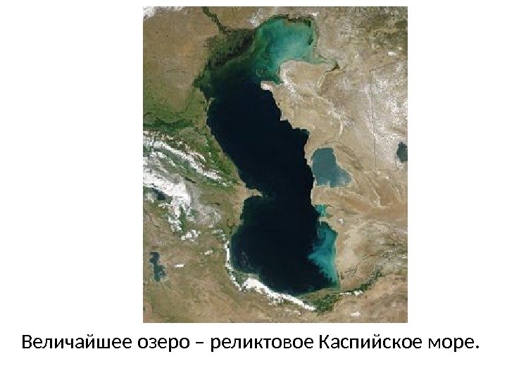 Величайшее озеро – реликтовое Каспийское море.  