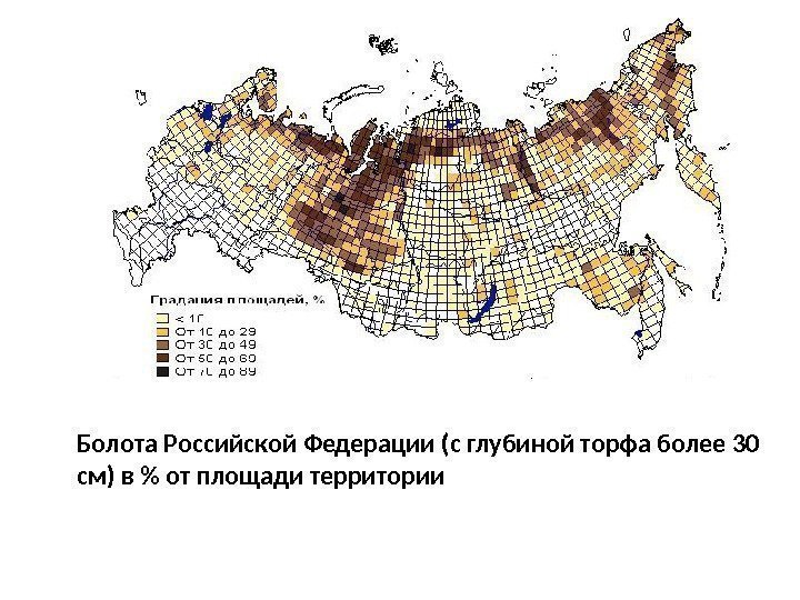 Болота Российской Федерации (с глубиной торфа более 30 см) в  от площади территории