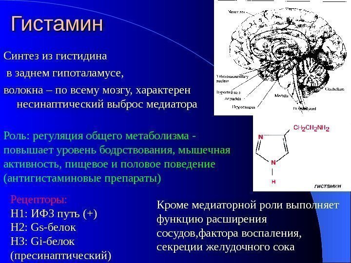 Гистамин Синтез из гистидина  в заднем гипоталамусе,  волокна – по всему мозгу,