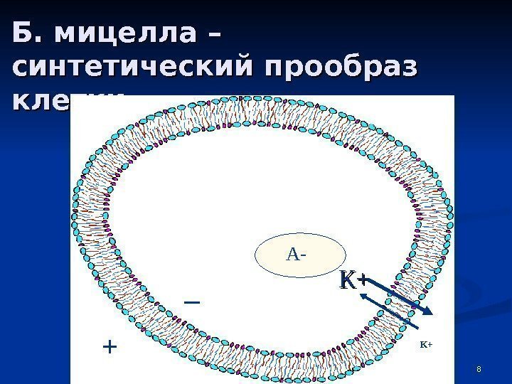 8 Б. мицелла – – синтетический прообраз клетки К+К+А- _ + К+ 