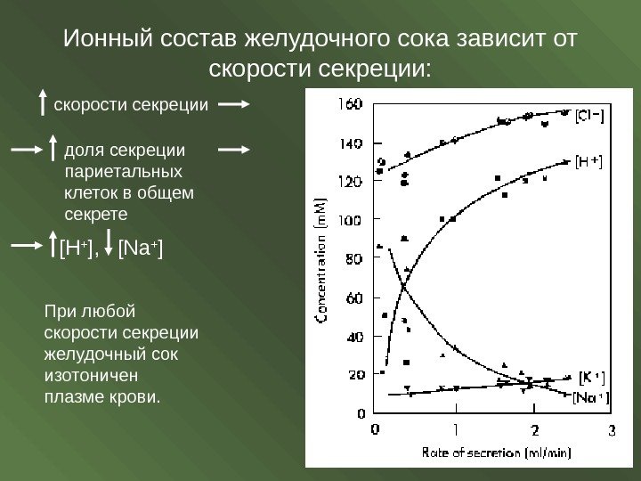 Ионный состав желудочного сока зависит от скорости секреции: скорости секреции доля секреции париетальных клеток