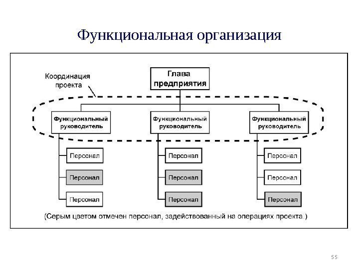 55 Функциональная организация 