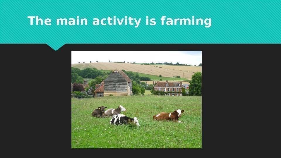 The main activity is farming 0102  