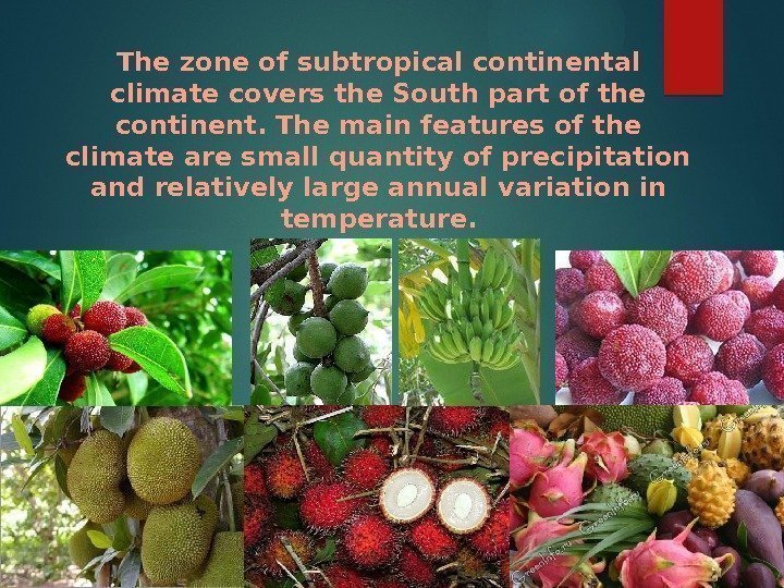 The zone of subtropical continental climate covers the South part of the continent. The