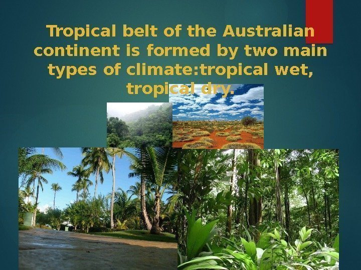 Tropical belt of the Australian continent is formed by two main types of climate: