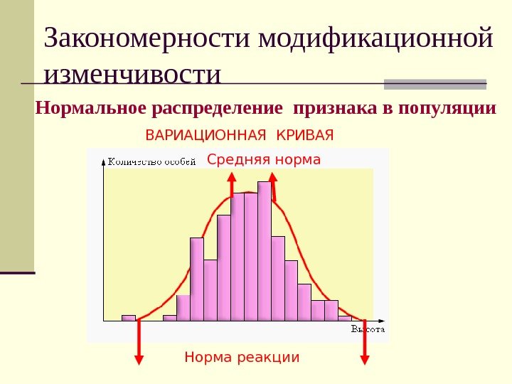 Закономерности модификационной изменчивости Нормальное распределение признака в популяции Норма реакции. ВАРИАЦИОННАЯ КРИВАЯ Средняя норма