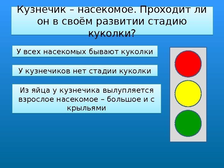 Кузнечик – насекомое. Проходит ли он в своём развитии стадию куколки? У всех насекомых