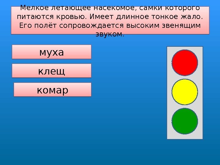 Мелкое летающее насекомое, самки которого питаются кровью. Имеет длинное тонкое жало.  Его полёт