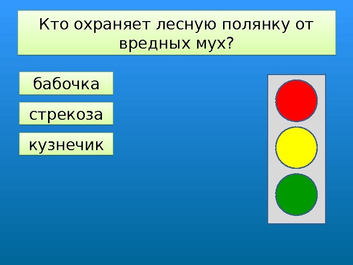 Кто охраняет лесную полянку от вредных мух? бабочка стрекоза кузнечик 010 A 08 13