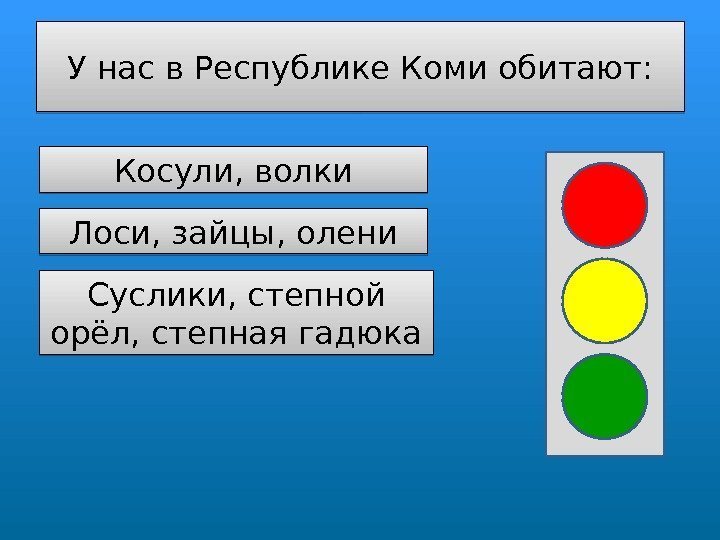 У нас в Республике Коми обитают: Косули, волки Лоси, зайцы, олени Суслики, степной орёл,