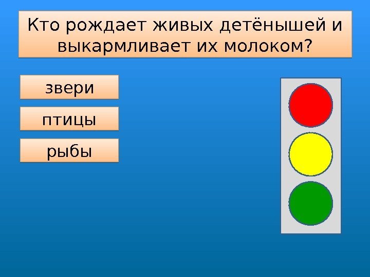 Кто рождает живых детёнышей и выкармливает их молоком? звери птицы рыбы010 A 08 06