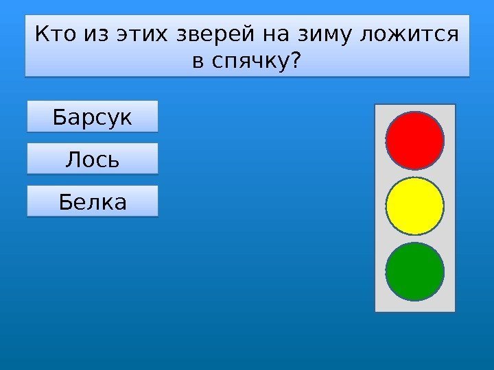 Кто из этих зверей на зиму ложится в спячку? Барсук Лось Белка 010 A