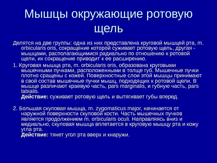   Мышцы окружающие ротовую щель Делятся на две группы: одна из них представлена