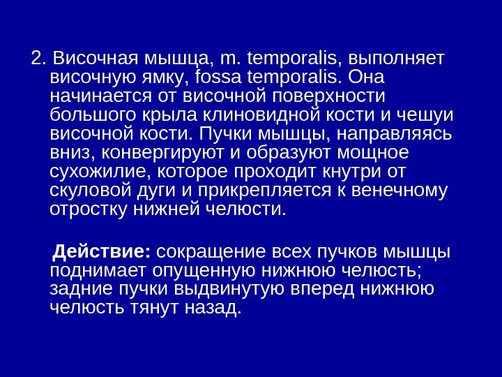   2.  Височная  мышца , m. temporalis,  выполняет  височную