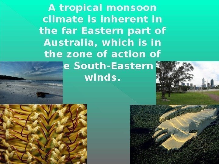 A tropical monsoon climate is inherent in the far Eastern part of Australia, which