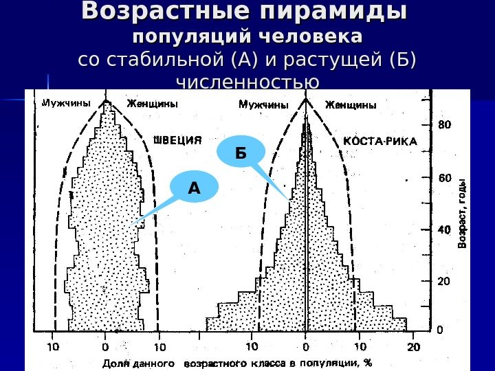 Возрастные пирамиды  популяций человека со стабильной (А) и растущей (Б) численностью А Б