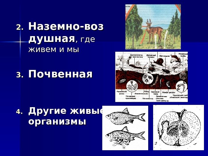 2. 2. Наземно-воз душная , где живем и мы 3. 3. Почвенная 4. 4.