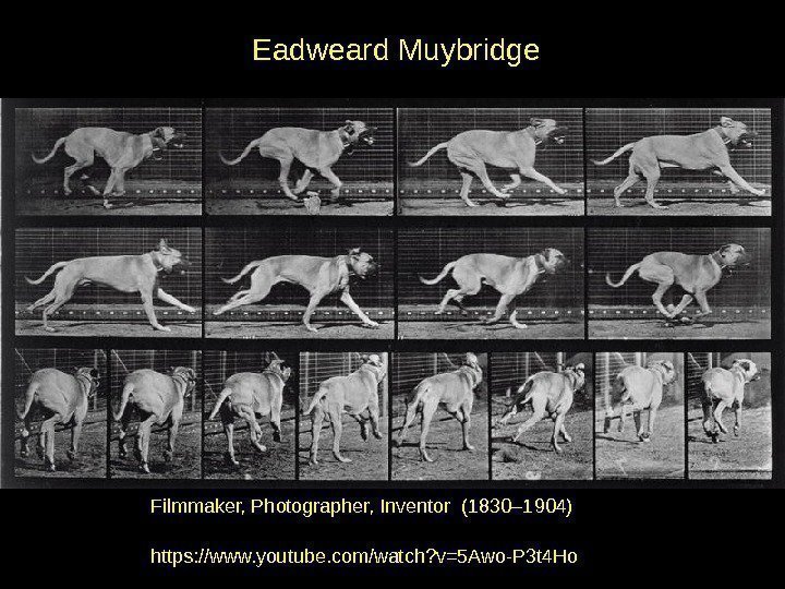 Filmmaker, Photographer, Inventor (1830– 1904) Eadweard Muybridge https: //www. youtube. com/watch? v=5 Awo-P 3