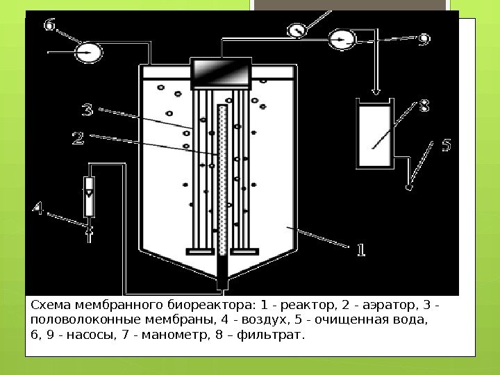 Схема мембранного биореактора: 1 - реактор, 2 - аэратор, 3 - половолоконные мембраны, 4