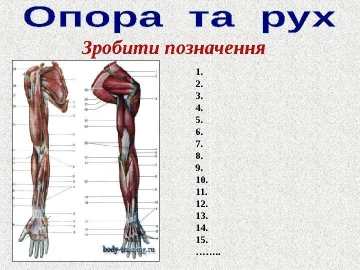 Зробити позначення 1. 2. 3. 4. 5. 6. 7. 8. 9. 10. 11. 12.