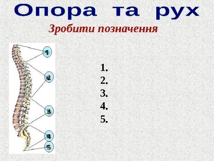 Зробити позначення 1. 2. 3. 4. 5. 1 2 3 4 5 