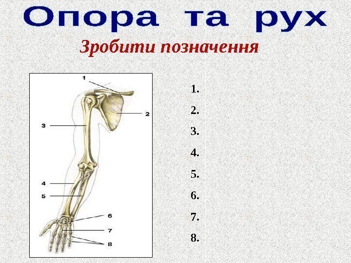 Зробити позначення 1. 2. 3. 4. 5. 6. 7. 8. 