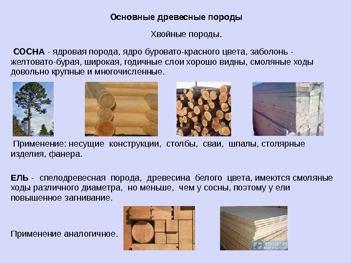 Основные древесные породы   Хвойные породы.  СОСНА - ядровая порода, ядро буровато-красного