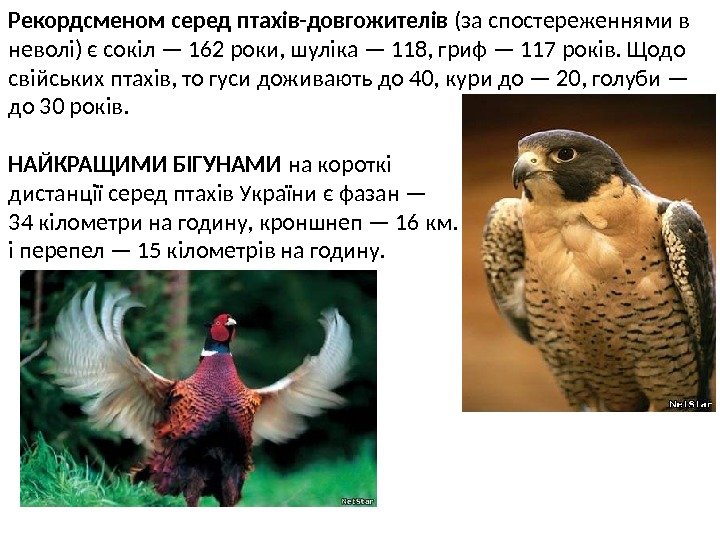 Рекордсменом серед птахів-довгожителів (за спостереженнями в неволі) є сокіл — 162 роки, шуліка —