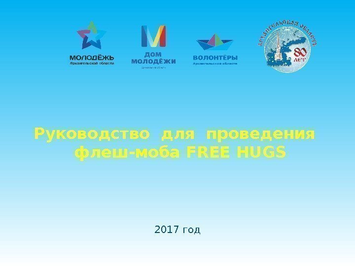 2017 год Руководство для проведения  флеш-моба FREE HUGS 