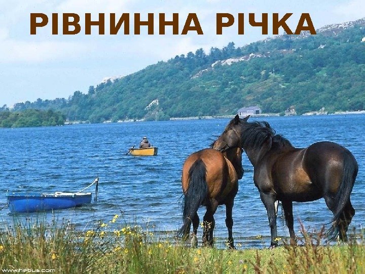  РІВНИННА РІЧКА  