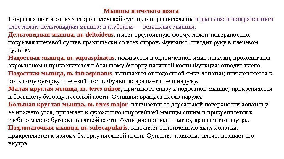 Мышцы плечевого пояса Покрывая почти со всех сторон плечевой сустав, они расположены в два