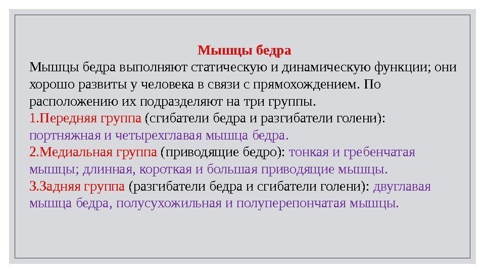 Мышцы бедра выполняют статическую и динамическую функции; они хорошо развиты у человека в связи