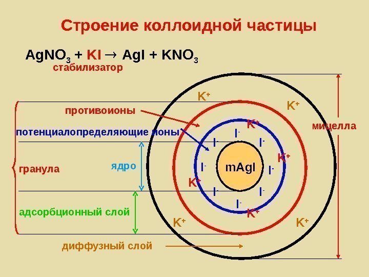   Строение коллоидной частицы Ag. NO 3 + KI Ag. I + KNO
