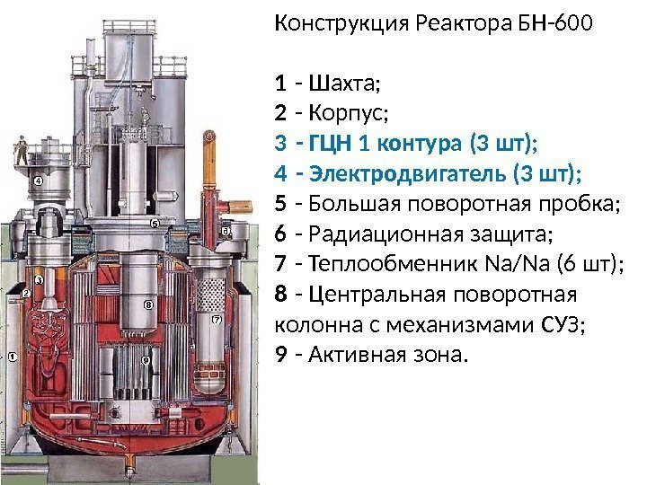 Конструкция Реактора БН-600 1 - Шахта; 2 - Корпус;  3 - ГЦН 1