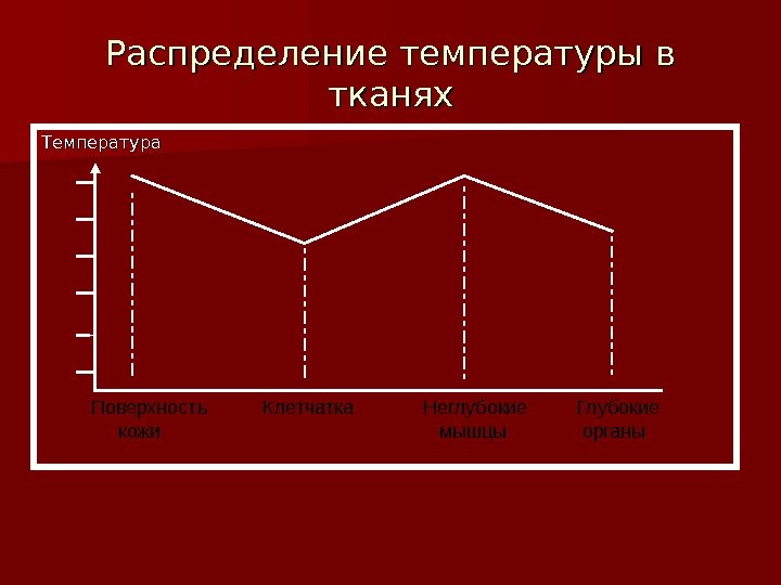 Распределение температуры в тканях Температура Поверхность  кожи Клетчатка Неглубокие мышцы Глубокие  органы