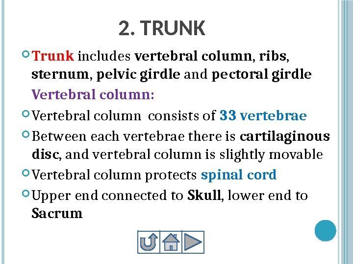 2. TRUNK Trunk includes vertebral column ,  ribs ,  sternum , 
