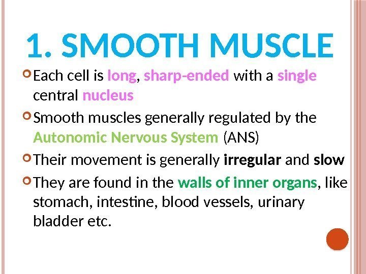 1. SMOOTH MUSCLE Each cell is long ,  sharp-ended with a single 