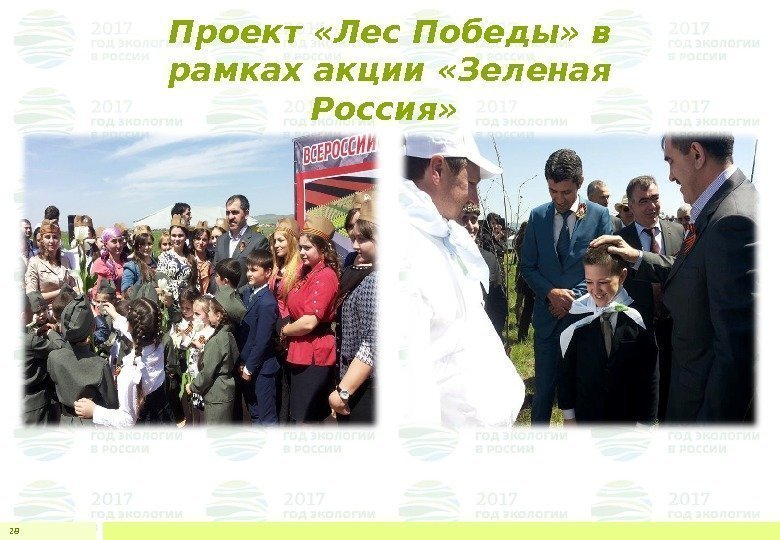 Проект «Лес Победы» в рамках акции «Зеленая Россия»  28 