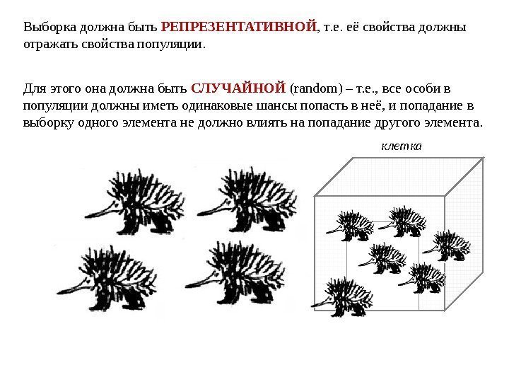 Выборка должна быть РЕПРЕЗЕНТАТИВНОЙ , т. е. её свойства должны отражать свойства популяции. Для