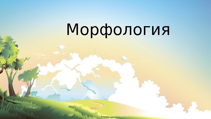 Морфология 