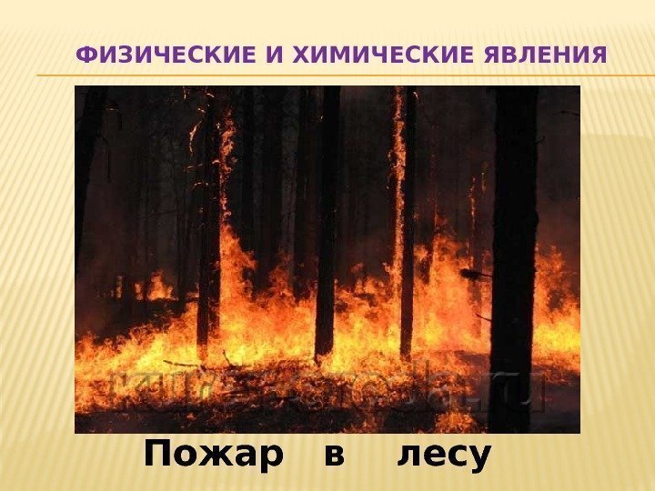   ФИЗИЧЕСКИЕ И ХИМИЧЕСКИЕ ЯВЛЕНИЯ Пожар  в  лесу 